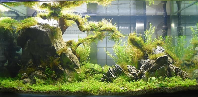 QQ图片20180522090148.jpg QQ图片20180522090148.jpg