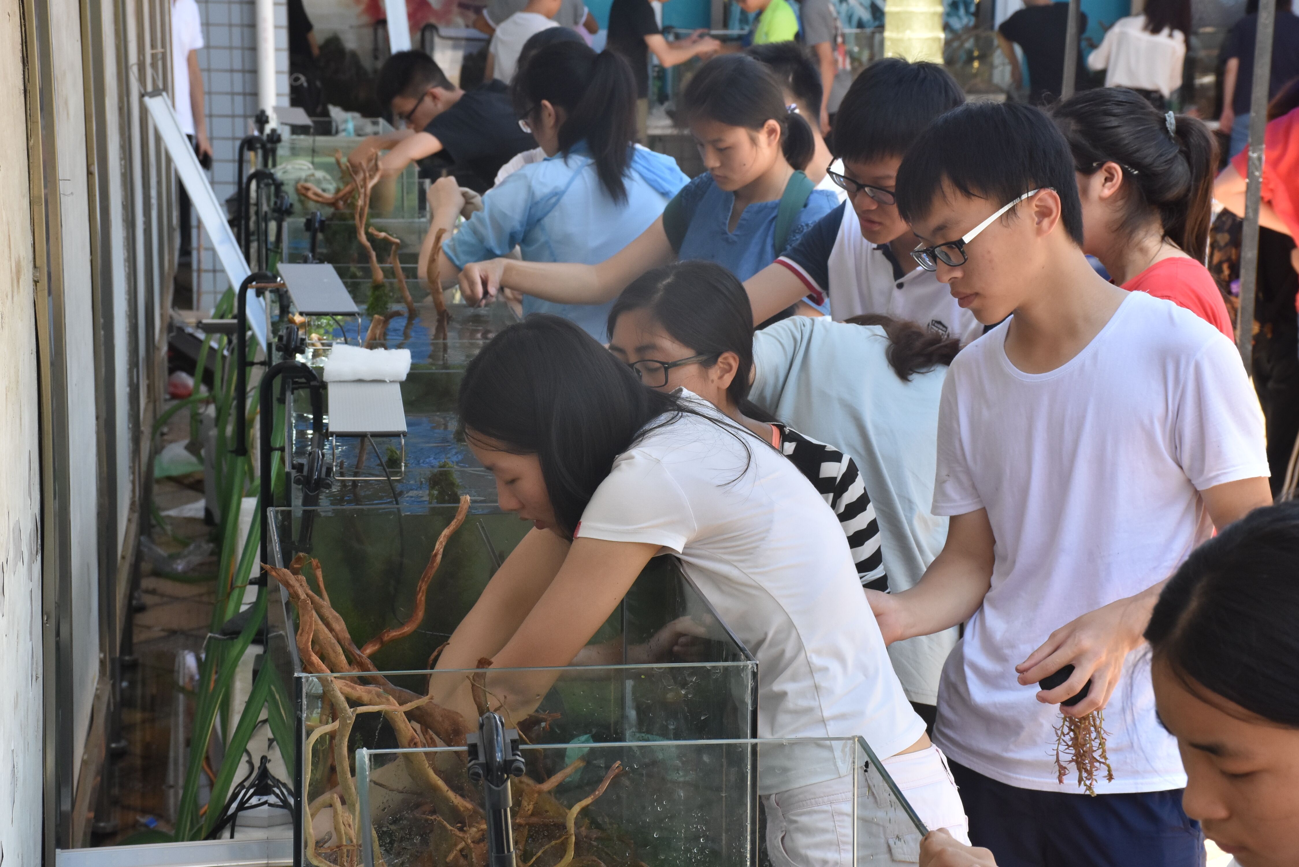 QQ图片20180522090114.jpg QQ图片20180522090114.jpg