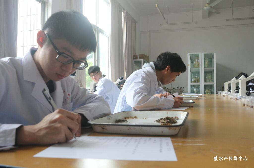 E:\WilliamHill中文官方网站\水产传媒中心\水产技能大赛\选手们进行紧张比赛.jpg E:\WilliamHill中文官方网站\水产传媒中心\水产技能大赛\选手们进行紧张比赛.jpg