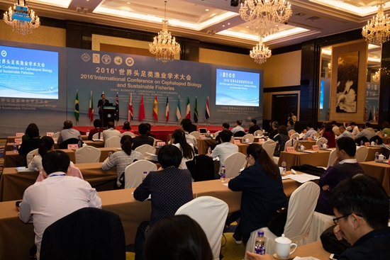 1480039305114533.jpg 2016世界头足类渔业学术大会现场.jpg