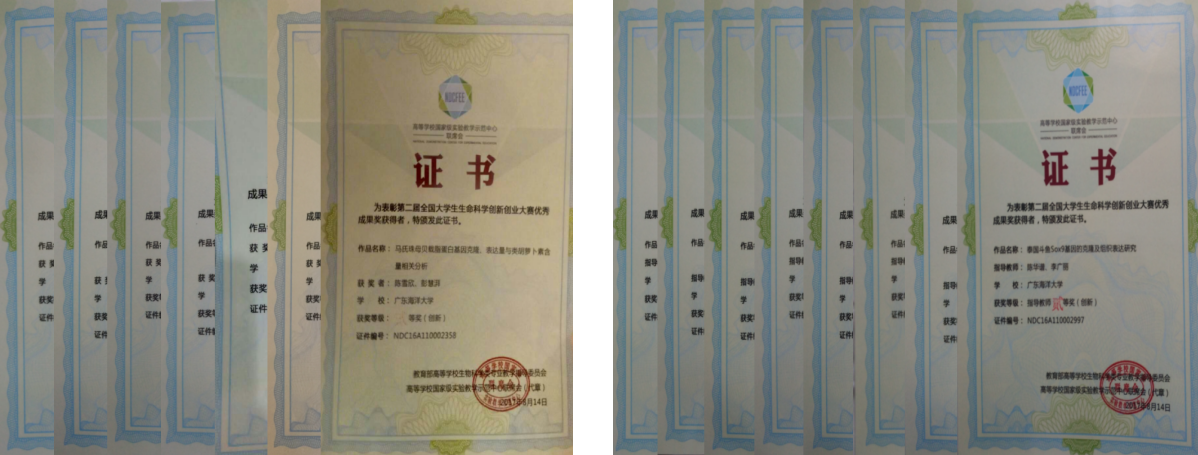 图片1.png 图片1.png